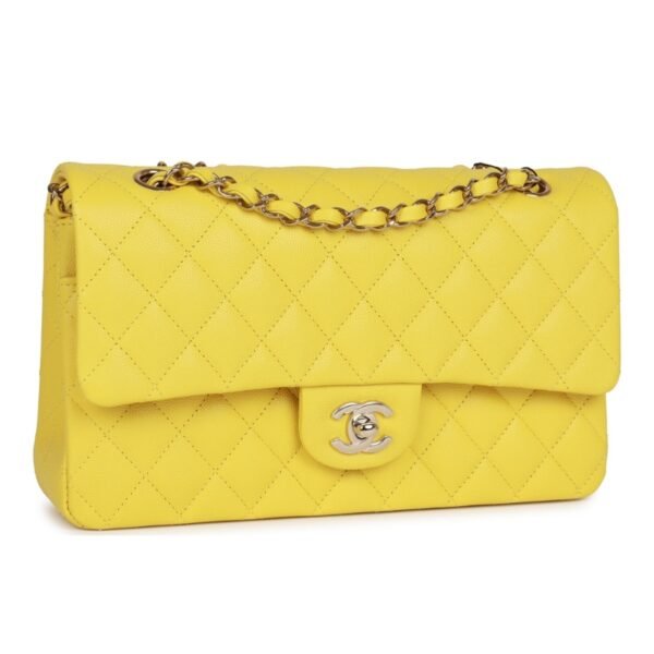 Chanel Classic Flap bag