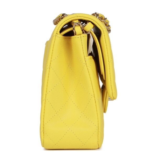 Chanel Classic Flap bag