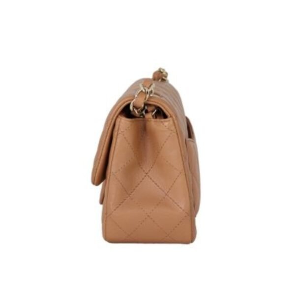 Chanel Classic Flap bag