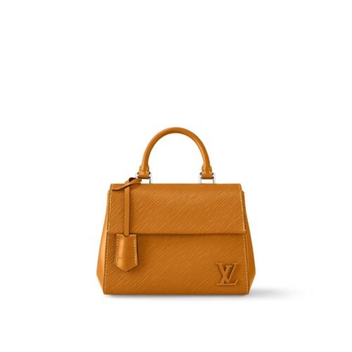 Louis Vuitton Cluny Mini Louis Vuitton Cluny Mini