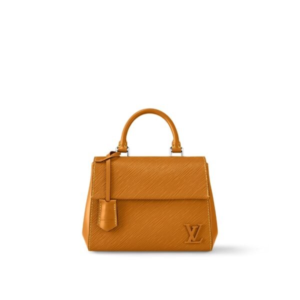 Louis Vuitton Cluny Mini Louis Vuitton Cluny Mini