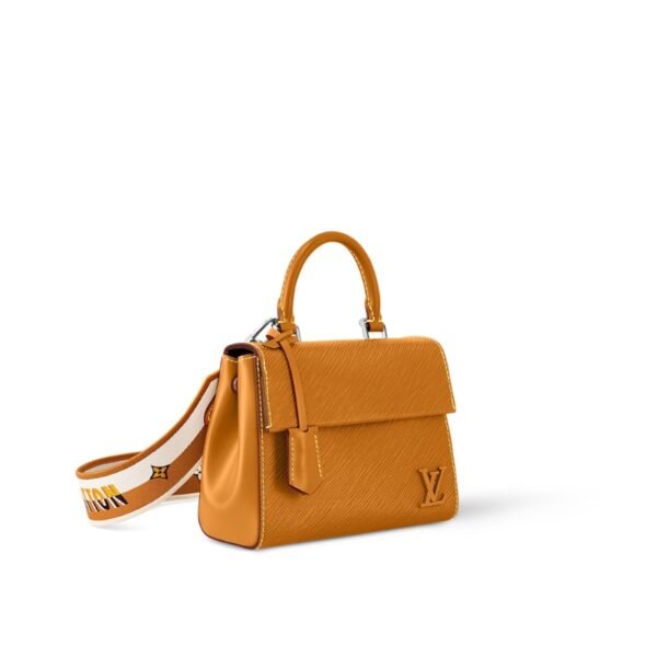 Louis Vuitton Cluny Mini Louis Vuitton Cluny Mini