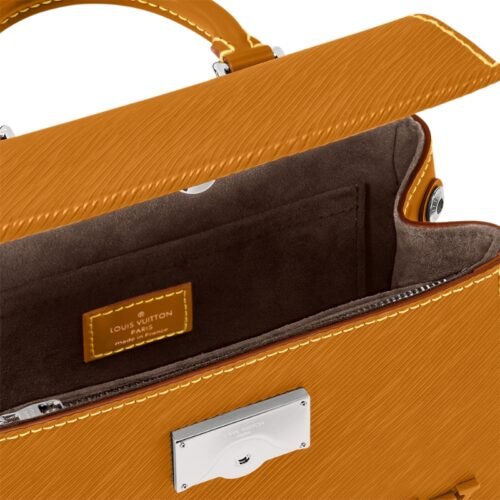 Louis Vuitton Cluny Mini Louis Vuitton Cluny Mini