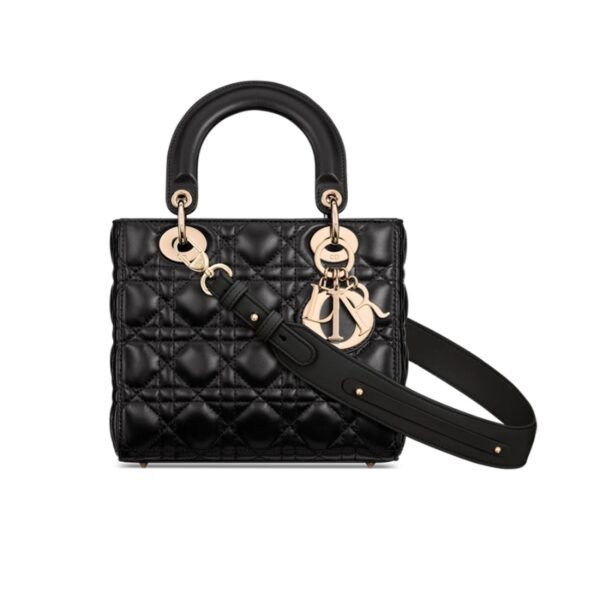 Lady Dior My ABCDior bag