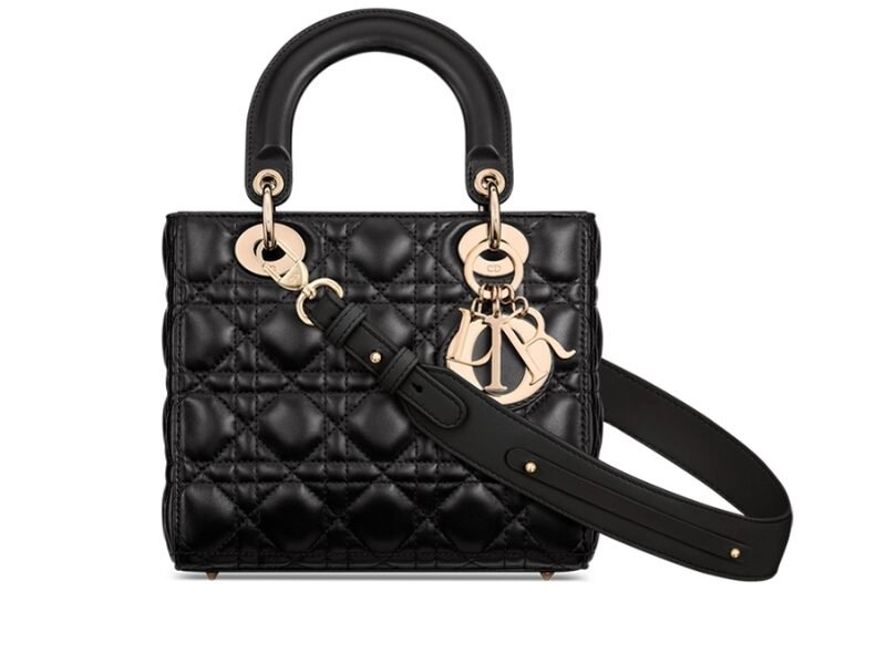 Lady Dior My ABCDior bag