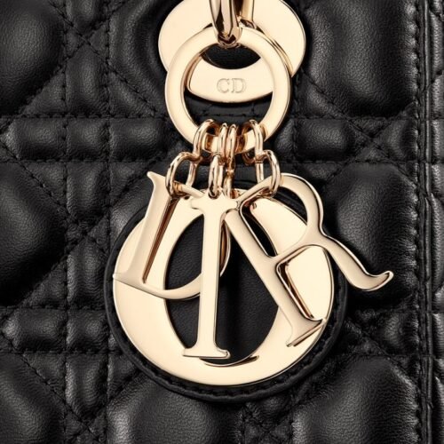 Lady Dior My ABCDior bag