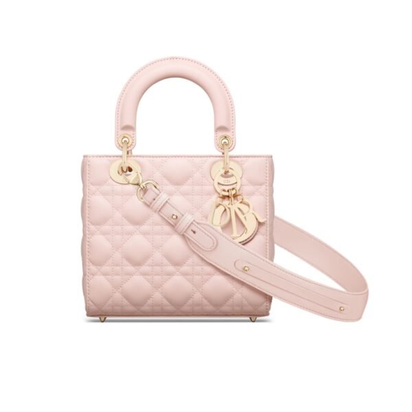 Lady Dior My ABCDior bag