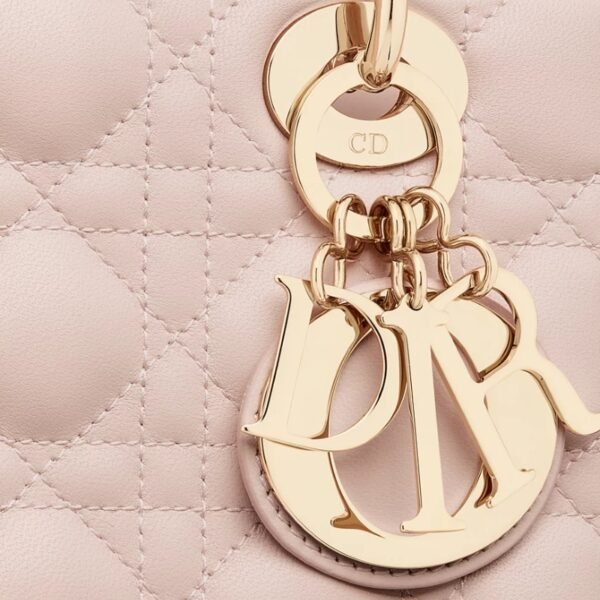 Lady Dior My ABCDior bag