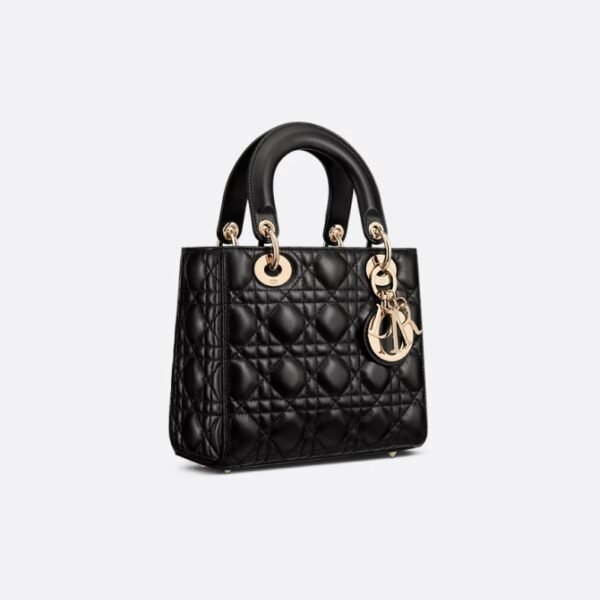 Lady Dior My ABCDior bag