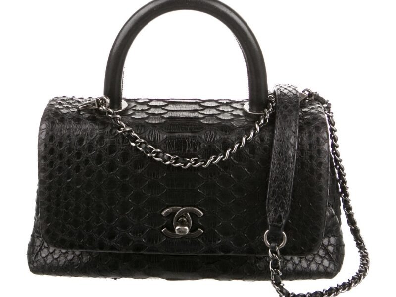 Chanel Snakeskin Small Coco Handle Flap Bag
