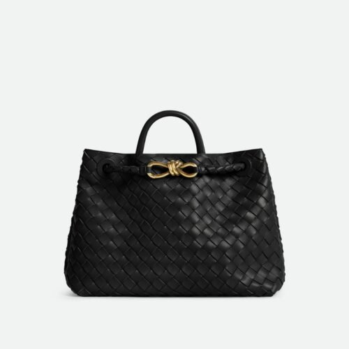 Bottega veneta Andiamo clutch