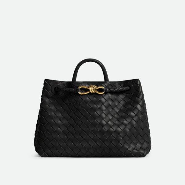 Bottega veneta Andiamo clutch