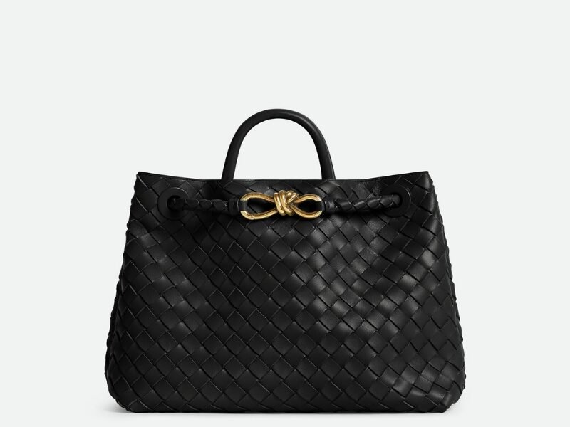 Bottega veneta Andiamo clutch