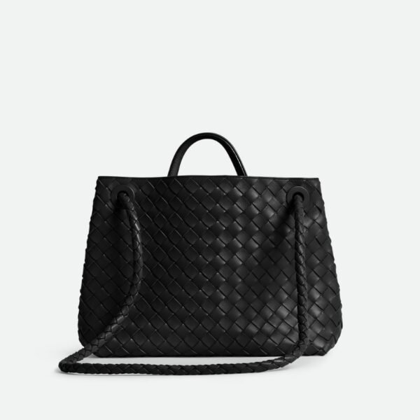 Bottega veneta Andiamo clutch