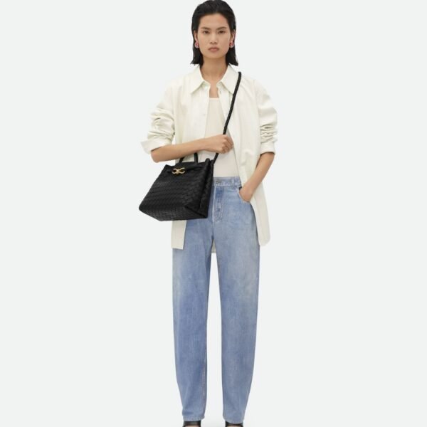 Bottega veneta Andiamo clutch