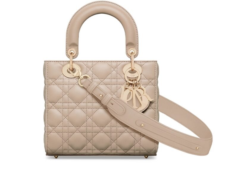 Designer Dior Mini Bag