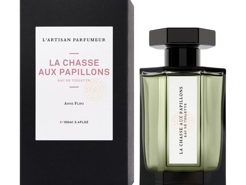 1 la chasseur aux papillons